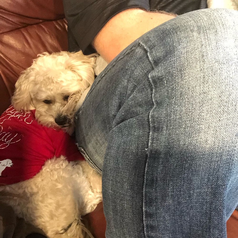 Meet your Posher, Amanda